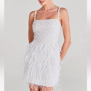 Nadine Merabi Carrie Dress size S US 4